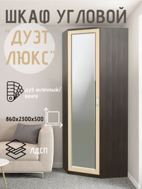 Шкаф угловой Дуэт Люкс с зеркалом в Уфе - ufa.mebel24.online | фото 5