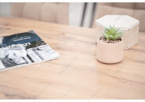 Стол обеденный Тринити Лофт 120 в Уфе - ufa.mebel24.online | фото 6