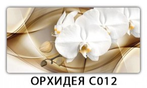 Стол раздвижной Трилогия с фотопечатью Доска D111 в Уфе - ufa.mebel24.online | фото 13