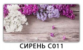 Стол раздвижной Трилогия с фотопечатью Доска D111 в Уфе - ufa.mebel24.online | фото 16