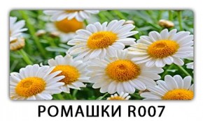 Стол раздвижной Трилогия с фотопечатью Доска D113 в Уфе - ufa.mebel24.online | фото 15
