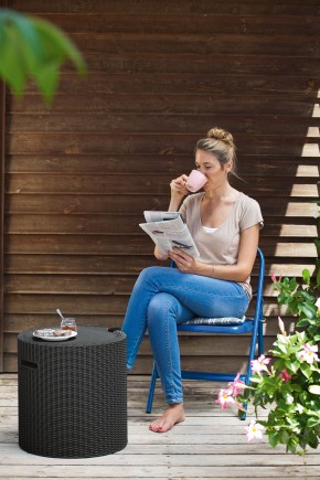 Столик-холодильник Кул-Стул (Cool stool) коричневый в Уфе - ufa.mebel24.online | фото 2