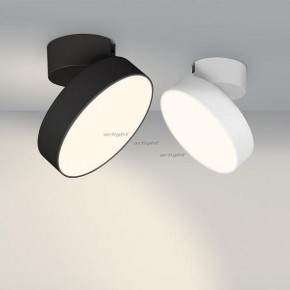 Светильник на штанге Arlight SP-RONDO-FLAP-R210-20W Day4000 (BK, 110 deg) 026453 в Уфе - ufa.mebel24.online | фото 3