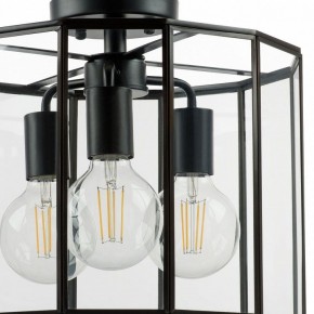 Светильник на штанге Lightstar Genni 798237 в Уфе - ufa.mebel24.online | фото 4