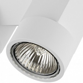 Светильник на штанге Lightstar Illumo X2 051036 в Уфе - ufa.mebel24.online | фото 2