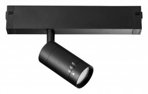 Светильник на штанге Lightstar Teta 205017 в Уфе - ufa.mebel24.online | фото 2