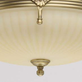 Светильник на штанге MW-Light Афродита 1 317011504 в Уфе - ufa.mebel24.online | фото 4