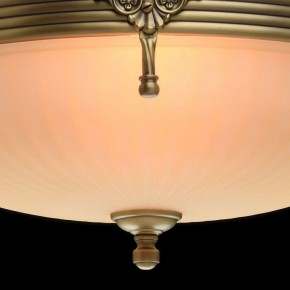 Светильник на штанге MW-Light Афродита 1 317011504 в Уфе - ufa.mebel24.online | фото 5