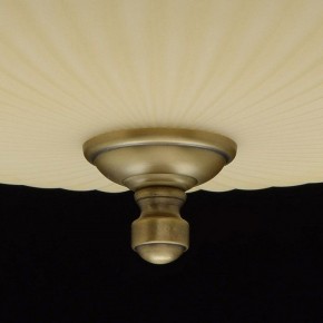 Светильник на штанге MW-Light Афродита 1 317011504 в Уфе - ufa.mebel24.online | фото 9