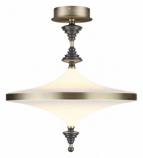 Светильник на штанге Odeon Light Ula 5404/43CL в Уфе - ufa.mebel24.online | фото 2