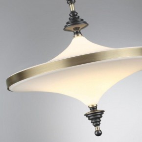 Светильник на штанге Odeon Light Ula 5404/43CL в Уфе - ufa.mebel24.online | фото 6