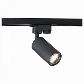 Светильник на штанге ST-Luce Solt ST300.406.01 в Уфе - ufa.mebel24.online | фото 1