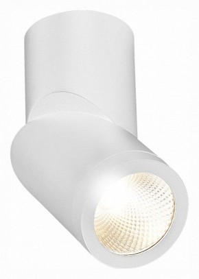 Светильник на штанге ST-Luce ST650 ST650.532.10 в Уфе - ufa.mebel24.online | фото 3