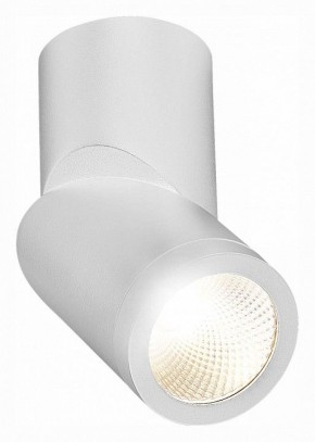 Светильник на штанге ST-Luce ST650 ST650.542.10 в Уфе - ufa.mebel24.online | фото 3