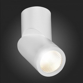 Светильник на штанге ST-Luce ST650 ST650.542.10 в Уфе - ufa.mebel24.online | фото 6