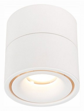 Светильник на штанге ST-Luce ST652 ST652.532.12 в Уфе - ufa.mebel24.online | фото 2