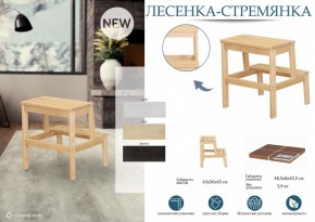 Табурет Стремянка в Уфе - ufa.mebel24.online | фото 4