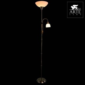 Торшер с подсветкой Arte Lamp Duetto A9569PN-2AB в Уфе - ufa.mebel24.online | фото 3