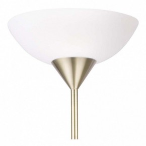 Торшер с подсветкой Arte Lamp Duetto A9569PN-2AB в Уфе - ufa.mebel24.online | фото 5