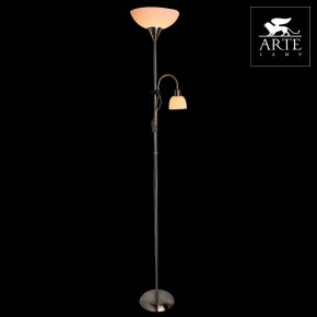 Торшер с подсветкой Arte Lamp Duetto A9569PN-2SS в Уфе - ufa.mebel24.online | фото 3