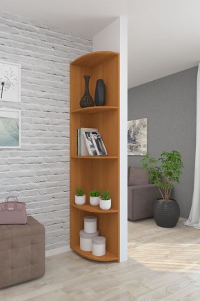 Угловой элемент ЛДСП 1 кат. в Уфе - ufa.mebel24.online | фото 6