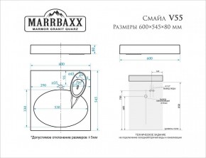 Умывальник над стиральной машиной (600*545*80) Смайл V55D1 (белый) с кронштейном без сифона (V55D1) в Уфе - ufa.mebel24.online | фото 2